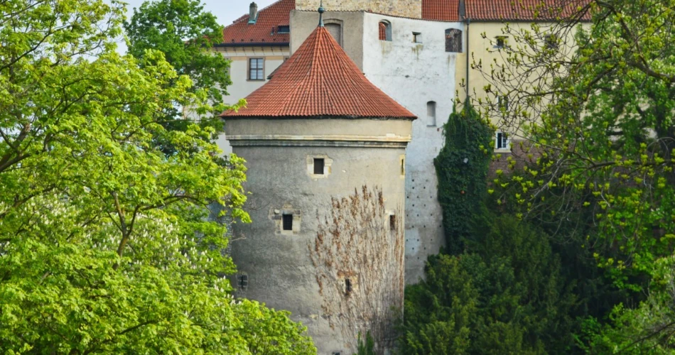 20 Best Things To Do For Kids In Prague